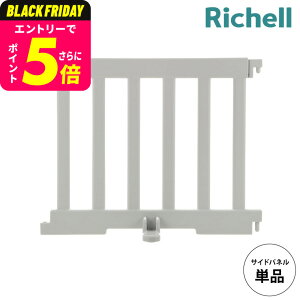 b`F(Richell) p[e[Vɂgxr[T[N TChpl CgO[  xr[T[N { Hsv LbY[  킢 xr[pi