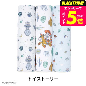 GCfAhAlC fBYj[ ݃Xh 3Zbg / aden+anais oYj Mtg v[g RbgX 킢 唻 uPbg g xr[pi