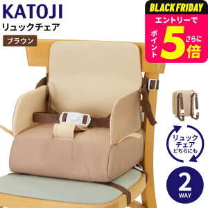 Jg[W bN`FA  KATOJI u[X^[`FAił悤ɂȂ6`36^܂͑̏d15kg܂Łj^ u[X^[ xr[`FA OH Ԃ H