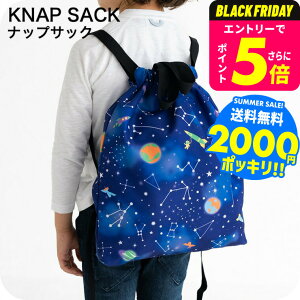 2000~|bL hZ̏ォ ̑ ibvTbN qǂp }`܂ލ40cm×36cm  /  |GXe ʊw  w  w В bN^Cv obO A4  