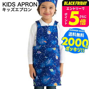 2000~|bL Ԃ邾 Gv qp MTCY100`120cm LTCY120`140cm  / ǂ wZ w K |GXe100 xr[pi ApN[|Ώ