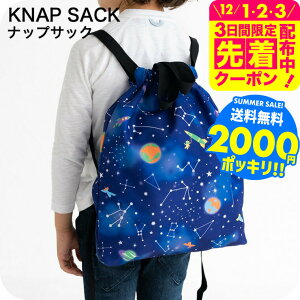 2000~|bL hZ̏ォ ̑ ibvTbN qǂp }`܂ލ40cm×36cm  /  |GXe ʊw  w  w В bN^Cv obO A4  