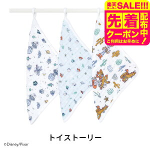 GCfAhAlC fBYj[ EHbVNX 3Zbg / aden+anais oYj Mtg v[g _uK[[ 킢 nJ` g gws xr[pi