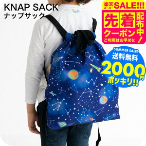 2000~|bL hZ̏ォ ̑ ibvTbN qǂp }`܂ލ40cm×36cm  /  |GXe ʊw  w  w В bN^Cv obO A4  