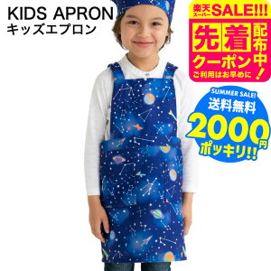 2000~|bL Ԃ邾 Gv qp MTCY100`120cm LTCY120`140cm  / ǂ wZ w K |GXe100 xr[pi ApN[|Ώ