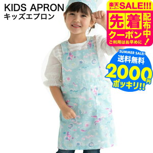 2000~|bL Ԃ邾 Gv qp MTCY100`120cm LTCY120`140cm  / ǂ wZ w K |GXe100 xr[pi ApN[|Ώ