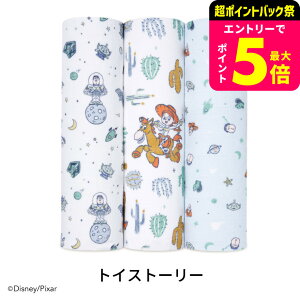 GCfAhAlC fBYj[ ݃Xh 3Zbg / aden+anais oYj Mtg v[g RbgX 킢 唻 uPbg g xr[pi