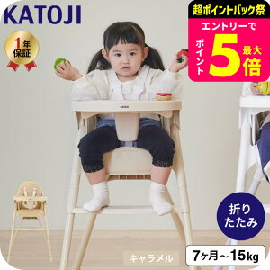 KATOJI Jg[W xr[`FA [X 5_V[gxg e[u V[gNbVt / y RpNg nC`FA ֎q ܂肽݉\ e[ut 7J`̏d15kg܂ xr[pi 2510sale