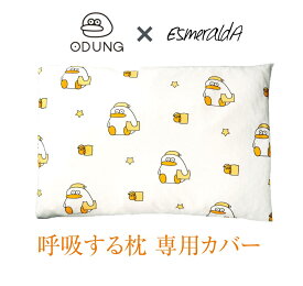 【エスメラルダ公式】呼吸する子どもまくら専用変えカバー オドゥンイ 韓国 KAKAO FRIENDS