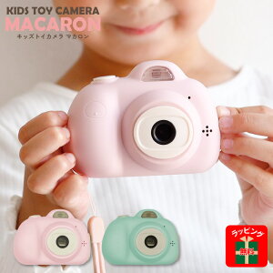 gCJ LbYJ fW^J J qp  v[g a NX}X 蕨 j Mtg ̎q j̎q  @\ B SNSf SDJ[ht Xgbvt 