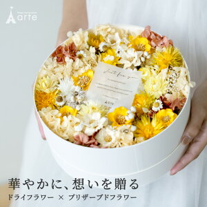 hCt[ vU[uht[ Mtg j v[gAW lC {bNX CeA  Vzj EFfBO JXj  LO ̓ JtF i` 