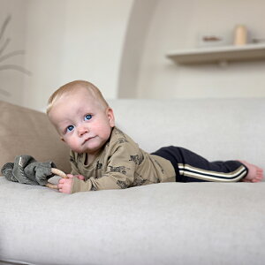 xr[ j̎q ZbgAbv ^CK[vgXEFbg CXEFbgY{ 2_Zbg x[W O[  g ۈ牀  ۈ牀 ct 90