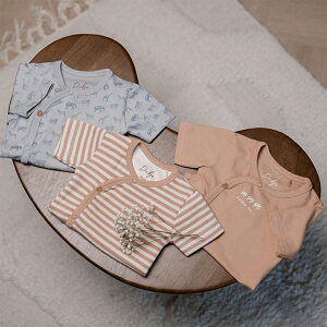 xr[ Ԃ񔧒 {fBX[c3pbN GOTSF؃I[KjbNRbg Dirkje