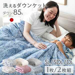 日本製 洗える 羽毛肌掛け布団 シングル ダブル 1枚/ 2枚組 ダックダウン 30マス 立体キルト 肌掛け布団 ダウンケット 肌掛けふとん 羽毛布団 掛け布団 除菌 防臭 夏用 夏布団 薄手 国産 父の