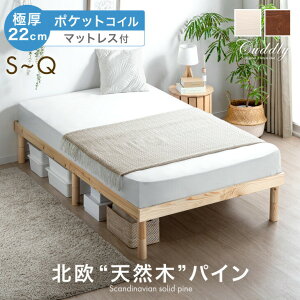 クイーンベッド マットレス付き」の人気商品一覧 | 安い商品を通販 