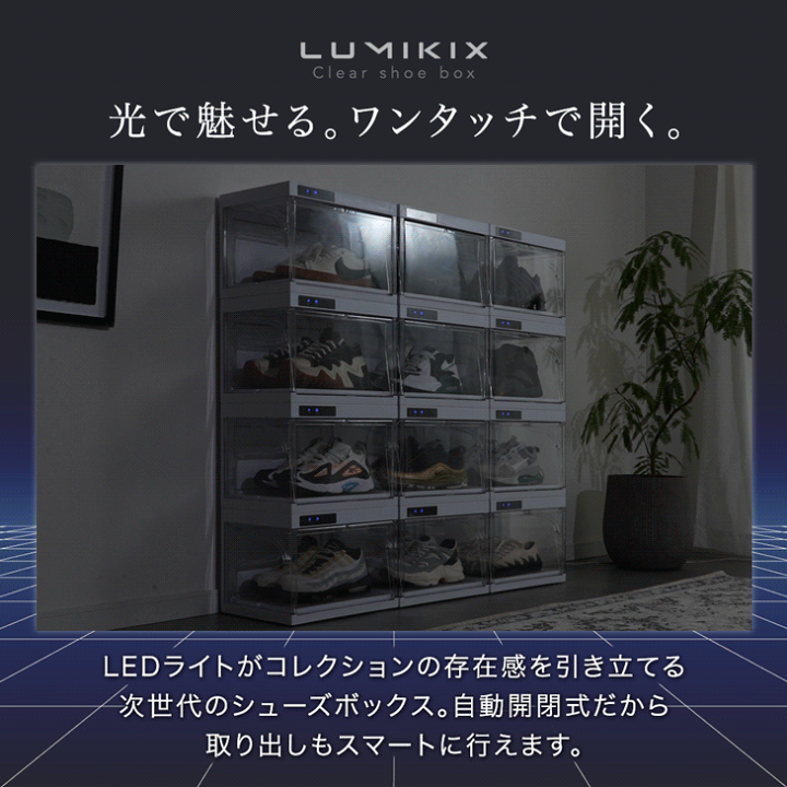 楽天市場】【15日0時~クーポン5%引】 LEDライト付 コレクション