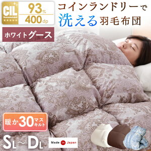 RCh[Ő􂦂 Hѕzc ɂȂ O[X_E 30}X̃Lg zCgO[X_E 93 O[X _E VO Z~_u _u O EHbVu 􂦂 400