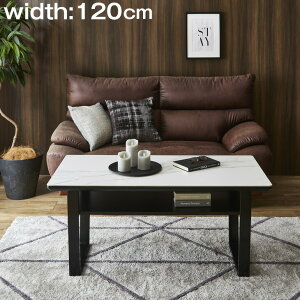 y~N[|5%z Z~bN Z^[e[u 120 cm o e[u [e[u rOe[u rO X`[ Sr Z~bNe[u 嗝   [ ot 