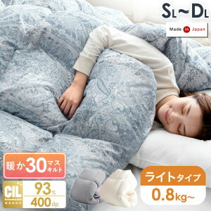 { Hѕzc RCh[ 􂦂 zCg_bN_E 93 ^uOK 30}XLg 0.8kg 800g [P[Xt |zc |zc |ӂƂ Hъ|zc HтӂƂ ~ ~p V