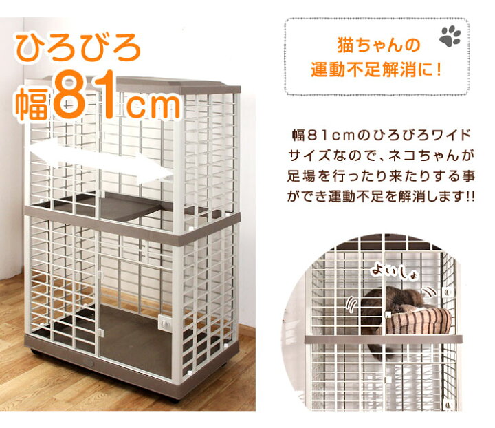 楽天市場】【本日クーポン5%引】 子供と猫にWの安心を♪錆びない 