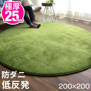 Ɍ25mm ᔽO ~` tlO 200×200 h h_j ~ߕt I[V[Y tl }CNt@Co[ ی^ O}bg  OJ[ybg J[ybg O~ k ᔽ z
