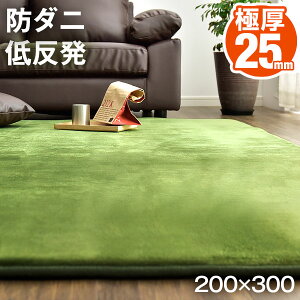 0 300 低反発ラグ カーペット ラグ マット 絨毯 通販 価格比較 価格 Com 0 300 低反発ラグ カーペット ラグ マット 絨毯 通販 価格比較 価格 Com