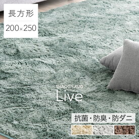 【正午～P5倍】 さらふわ手触り 洗えるシャギーラグ 200×250 抗菌 防臭 防ダニ 低ホル 洗える 防音 滑り止め ラグ ラグマット オールシーズン シャギー ウレタン 北欧 長方形 四角 3畳 無地 カーペット 絨毯 じゅうたん リビング インテリア 可愛い おしゃれ