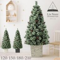 RENEW ヌードツリー Liv Norr 石目調 ポット付き 120cm 150cm 180cm 210cm 松ぼっくり付 ヌード ツリー …