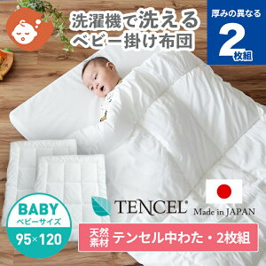 eZ킽 2g|zc 􂦂 xr[ |zc xr[TCY 95×120cm | { VRf eZ M[TCY Ԃ 2g  || |zĉ |ӂƂ |zc |