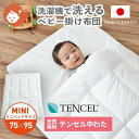 テンセル中わた 洗える ベビー 掛け布団 単品 ミニサイズ 75×95cm | 日本製 天然素材 テンセル ミニ ミニベッドサイズ 赤ちゃん 掛け布団のみ 掛けふとん 掛布団 掛布団のみ 掛ふとん ベビー布団 単品 保育園 入園準備 ペット用 ペット 犬用 猫用