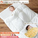 テンセル中わた 洗える ベビー 掛け布団 ベビーサイズ 95×120cm | 掛け布団カバーセット日本製 天然素材 テンセル レギュラーサイズ 赤ちゃん 掛け布団のみ 掛けふとん 掛布団 掛ふとん ベビー布団 単品 保育園 お昼寝布団 入園準備 保育園準備 出産準備 ペット用