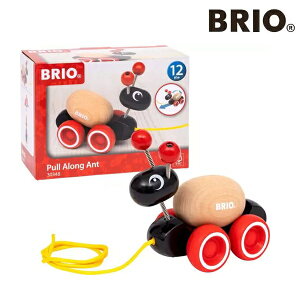 BRIO [OGbOƃAiNVbNj 30348 uI   vgC ؐ ykCEyїsz