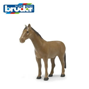 Bruderiu[_[j nij BR02352 ykCEyїsz