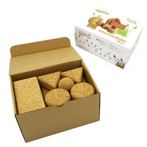 RN݂ RR_C RNϖ sARN corcodile ȂqlɂS xr[Mtg oYjykCEyї͔sz