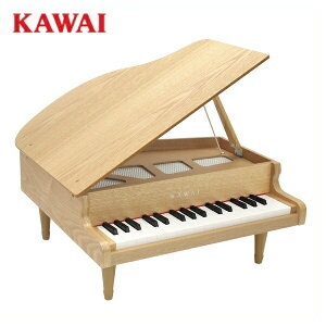 OhsAm i` 1144 KAWAI ؐ ͍y JCykCEyїsz