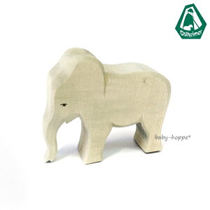 IXgnC}[ Ostheimar  ]E X Elephant cow tBMA IuWF ؐ CeA 20421ykCEyї͔sz