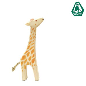 IXgnC}[ Ostheimar L  L̎q   Giraffe small head high tBMA ؐ 21803ykCEyї͔sz
