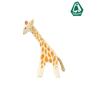 IXgnC}[ Ostheimar  L L̎q   Giraffe small head low tBMA ؐ 21804ykCEyї͔sz