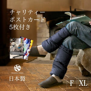 y`eB[z_EbOEH[}[yYEfB[Xpzy{z񊳎Ҏx`eB[|XgJ[ht