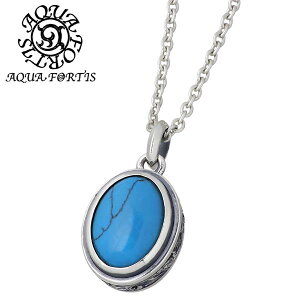 y|Cg5{I}\ԒIz ANAtH[eBX AQUA FORTIS Vo[ lbNX ANZT[ Y ^[RCY AxXN Vo[925 X^[OVo[ ANAVo[ AQUA SI