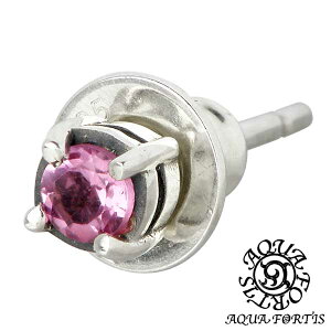 y|Cg5{I30Iz ANAtH[eBX AQUA FORTIS sNg} Vo[ sAX ANZT[ ꗱ X^bh^Cv 1 Ўp Vo[925 X^[OVo[ ANA