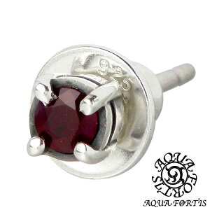 y|Cg5{I30Iz ANAtH[eBX AQUA FORTIS r[ Vo[ sAX ANZT[ ꗱ X^bh^Cv 1 Ўp Vo[925 X^[OVo[ ANAVo[ AQ