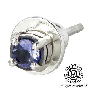 y|Cg5{I30Iz ANAtH[eBX AQUA FORTIS ^UiCg Vo[ sAX ANZT[ ꗱ X^bh^Cv 1 Ўp Vo[925 X^[OVo[ ANAV