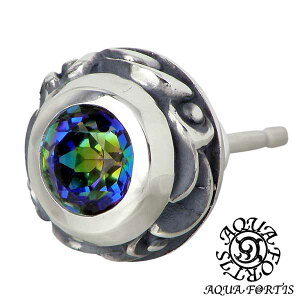 y|Cg5{I30Iz ANAtH[eBX AQUA FORTIS Xg[ Vo[ sAX ANZT[ ꗱ AxXN X^bh^Cv 1 Ўp Vo[925 X^[OVo[ A