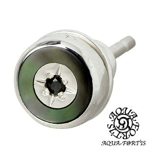 ANAtH[eBX AQUA FORTIS ubNVF Vo[ sAX ANZT[ ubNL[rbN X^bh^Cv 1 Ўp Vo[925 X^[OVo[ ANAVo[ AQUA SILV