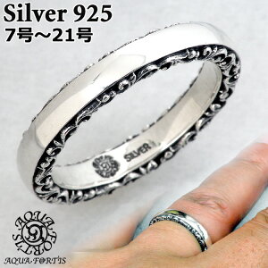 ANAtH[eBX TCh AxXN Vo[ O w Vo[925 Y fB[X FR-028FAQUA FORTIS 7`21 ANZT[ WG[ uh AQUA SILVER