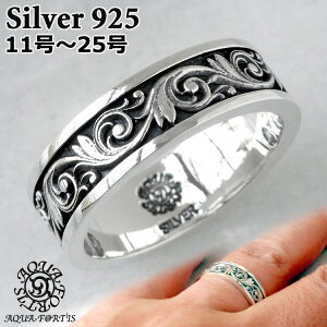 ANAtH[eBX NVJ AxXN Vo[ O w Vo[925 Y fB[X FR-031FAQUA FORTIS 11`25 ANZT[ WG[ uh AQUA SILVER