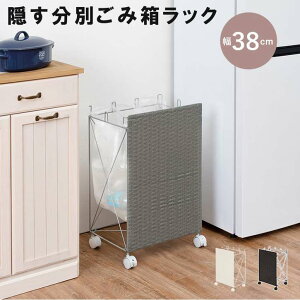 y|Cg5{I 3܂ŁIz B ݔ bN LX^[t 38cm _Xg{bNX  Ch Lb` rO Eߏ ʏ Q bN h k kCǉ  