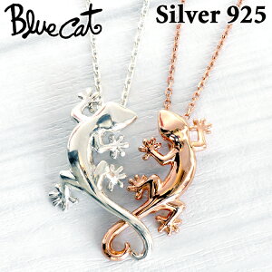 y|Cg10{IX[p[SALEIz u[Lbg  n[g Vo[ yA lbNX Vo[925 sNS[h Y fB[X ANZT[ gJQ SPV728-729-SVPKBlue Cat uh 