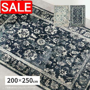 yX[p[SALE 75%OFFIz EBgO J} 200×250cm EBgD IG^ AeB[N zbgJ[ybgΉ g[Ή GWvg  kCǉ  ʓr